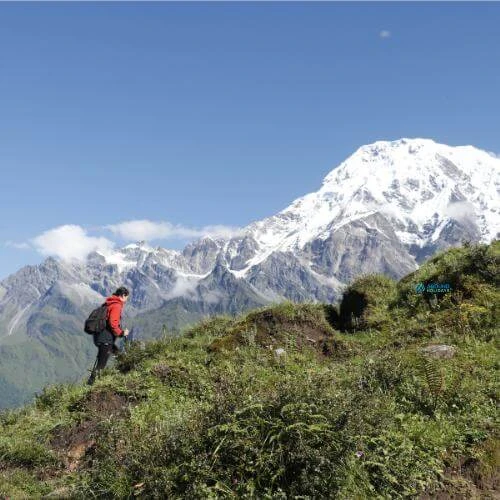 Best Time for Mardi Himal Trek