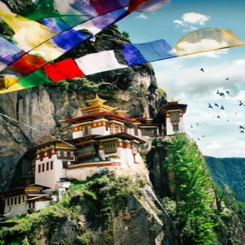 bhutan-tiger-nest