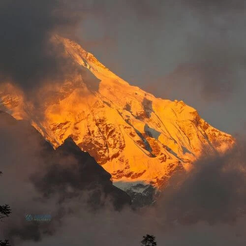 langtang-golden-himalayan