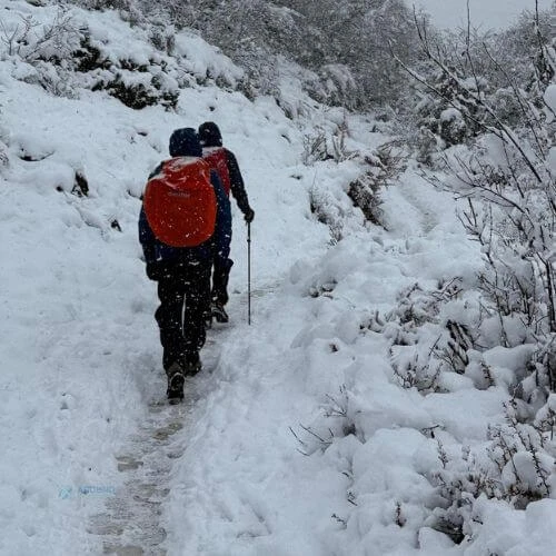 snow-path-trekking