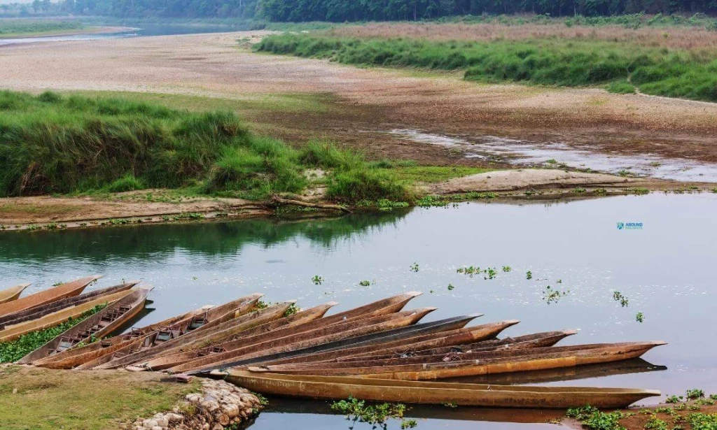 chitwan-jungle-safari