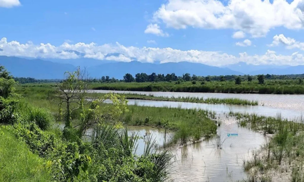 Chitwan Jungle Safari