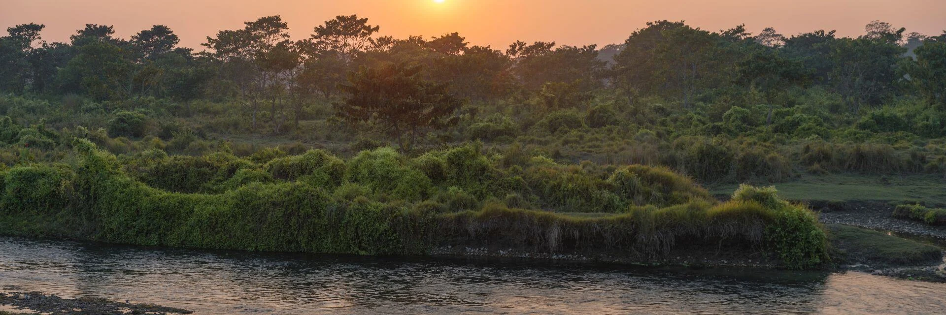 chitwan-national-park-at-sunset