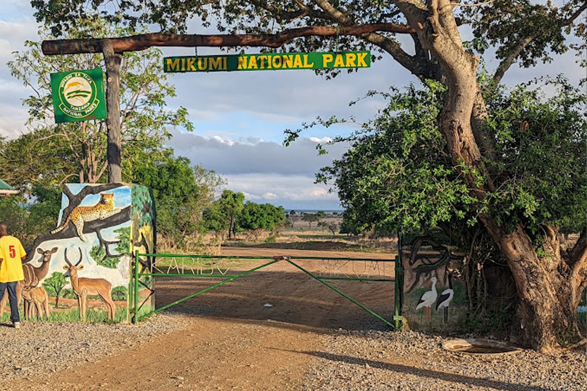 Mikumi National Park