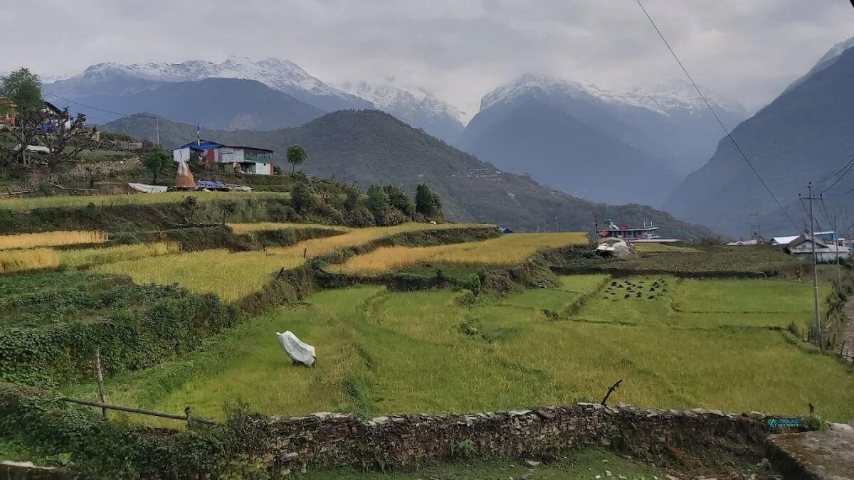 ghandruk-village-tour