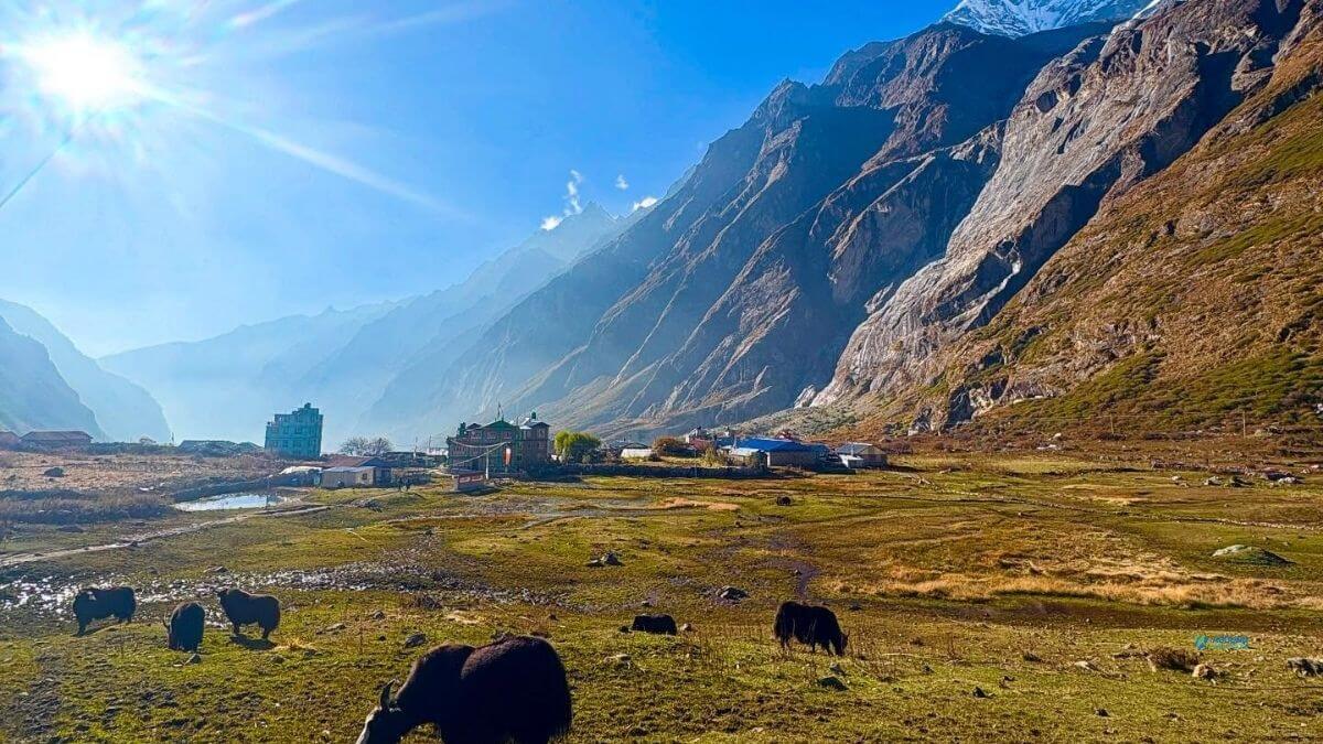 langtang-valley
