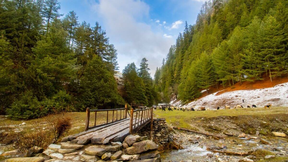 beautiful-place-to-relax-in-rara-national-park