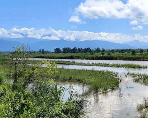 Aerial View Of Chitwan Jungle Sufari