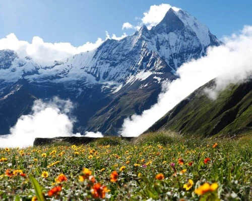 Annapurna Base Camp Trek At Monsoon