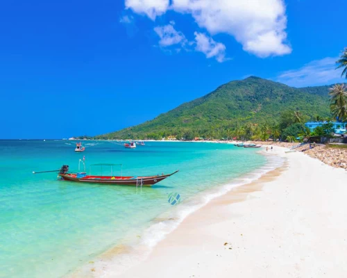 Bangkok Pattaya Beach Vibe