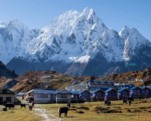 Bhimthang Village During Manaslu Circuit Trek