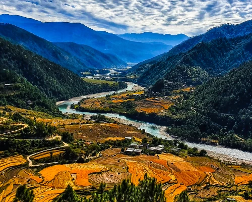 Bhutan Freshnesws