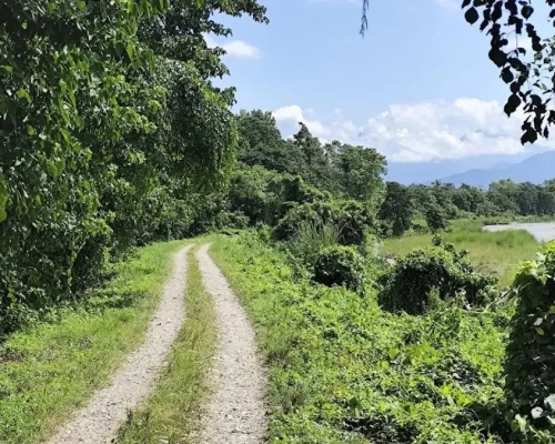 Chitwan Jeep Safari Tour
