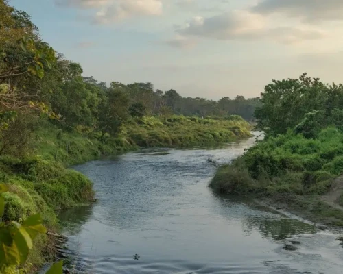 Chitwan National Park