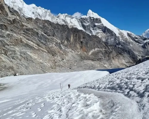 Cho La Pass Trek