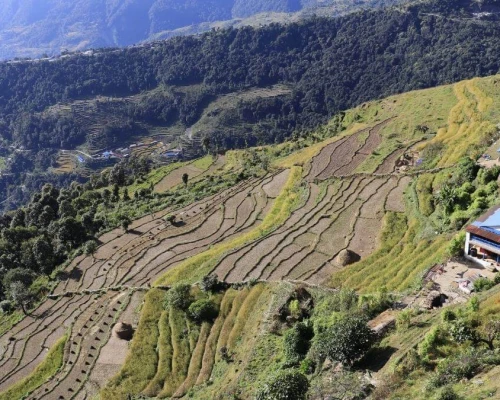 Deurali Village View During Mardi Himal Trek