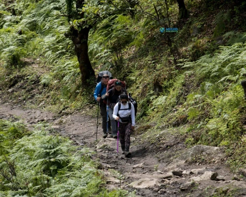 Ghorepani Poonhil Trekking