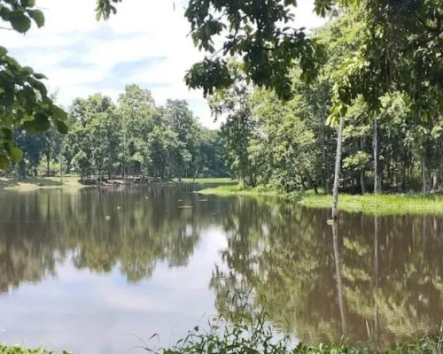Lake In Chitwan National Park