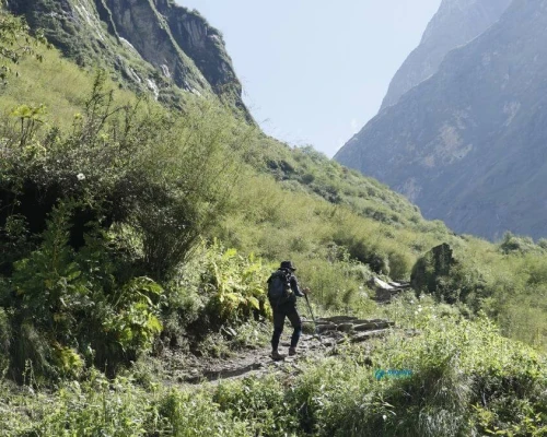 Path Way To Annapurna Base Camp