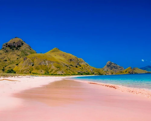 Pink Beach 