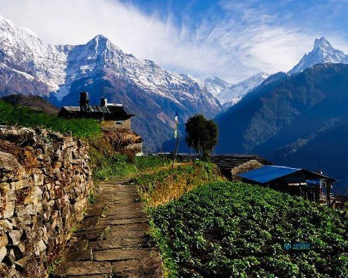 Trail To Ghorepani