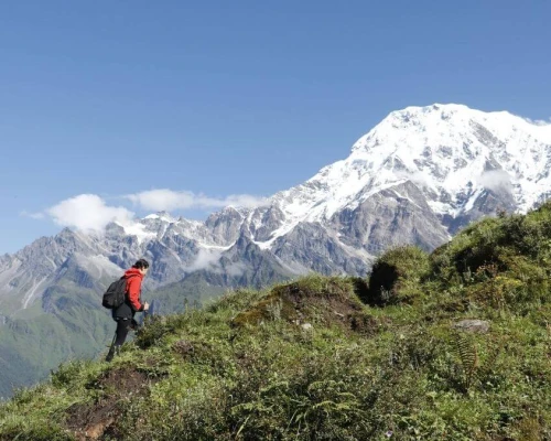 Trek To Mardi Base Camp