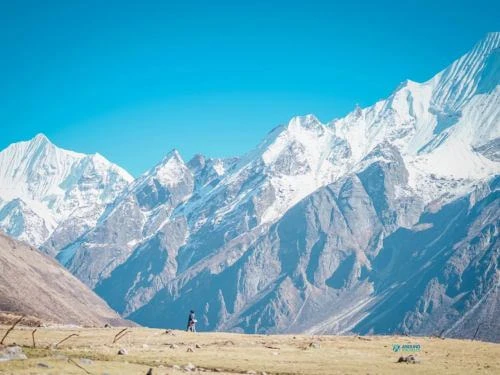 langtang-valley-trek