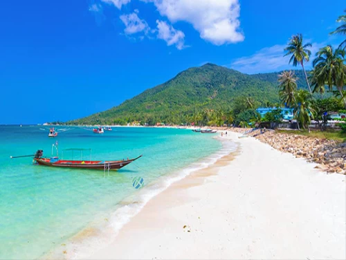 Bangkok-Pattaya-Tour